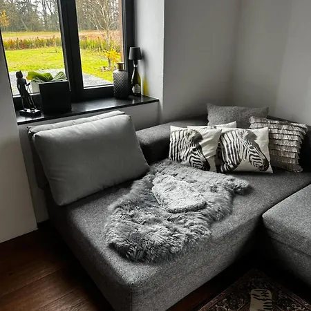 ヴィラ Trierer Heide - Architektur Zum Wohl Fuehlen *